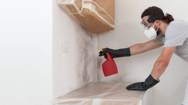 Professional Bathroom Mold Removal technician working in Fredericksburg, TX