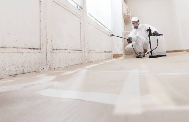 24/7 Emergency Bathroom Mold Removal experts in Fredericksburg, TX